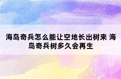 海岛奇兵怎么能让空地长出树来 海岛奇兵树多久会再生